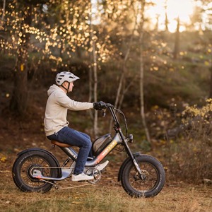 Bicicleta Eléctrica con Llantas Gruesas de 20 Pulgadas, 2000W, Batería de Litio, Cuadro de Acero al Carbono para Entrega de Comida - Product Image 2