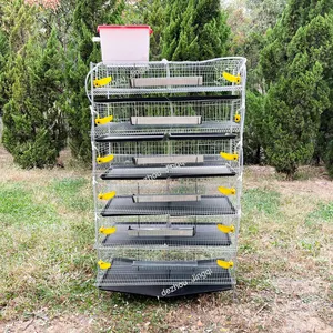 H-forma codorna agricultura codorna reprodução gaiola para produção de ovos usado codorna gaiolas para venda