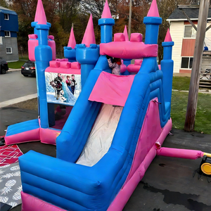 <span class=keywords><strong>Castillo</strong></span> Inflable con Tobogán de Elsa y Anna, de PVC de Alta Calidad, Venta Directa de Fábrica - Product Image 2