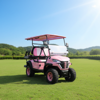 Voiturette de golf électrique au lithium personnalisable 4 places 48 V de qualité supérieure avec personnalisation gratuite de la couleur et du logo pour usage en station balnéaire ou à domicile