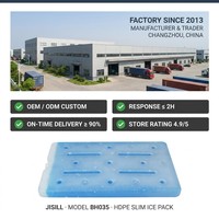 Grande plaque de refroidissement eutectique de 1800 ml en plastique thermique isolé pour sacs isothermes de conservation des aliments