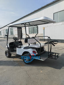 Moda moderna 2 4 posti turismo Bus Club carretto elettrico al litio batteria Golf Buggy caccia turismo carrello - Product Image 5