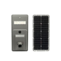 Lampadaire solaire LiFePO4 IP66 30W 40W 60W 80W 120W 51Ah avec capteur de mouvement T2 T3 et batterie interchangeable pour village de montagne