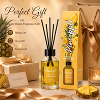 Diffuseur de parfum d'ambiance 100 ml, écologique, bâtonnets naturels, bouteille en verre recyclable, longue durée, idée cadeau