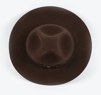 Chapeaux en laine à large bord NL201 Marron Camel, design exquis, populaires pour les activités de plein air et les tenues décontractées