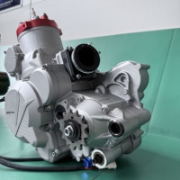 Moteur à deux temps refroidi par eau de 300 cm3 adapté à la KTM300CC monocylindre, puissance maximale de 36 kW, accessoires de moteur pour moto tout-terrain
