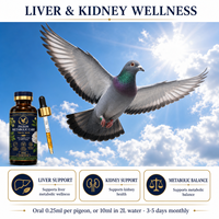 Pigeon Metabolic Care Format d'essai 50ml Soutien Hépatique et Rénal Supplément Herbal Liquide Récupération Post-Compétition Faible MOQ