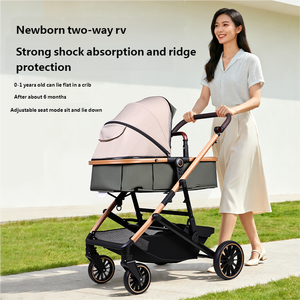 Poussette <span class=keywords><strong>double</strong></span> légère trois-en-un pour nouveau-nés jusqu'à 3 ans, système de voyage pliable, cadre en acier inoxydable, Linen Wellpal 4 Baby - Product Image 5