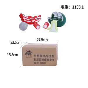 Modelos de estructura de organelos celulares para enseñanza de biología Mitocondrias, <span class=keywords><strong>Golgi</strong></span>, cloroplasto, centrosoma - Product Image 6