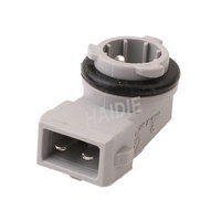Haidie 2-Pin Kraftstoffeinspritzer-Kabelbaum-Steckverbinder / Automobil-Lampensteckverbinder HDL-890 282189-1