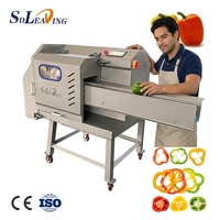 Industriële groentesnijmachine, bandsnijmachine voor het snijden van sla, kool, bladgroenten, ui en fruitverwerking