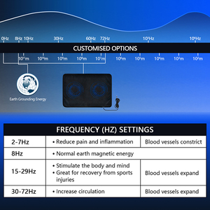 Alat Fisioterapi Bio-frekuensi Magnetik PEMF, Matras PEMF Daya Tinggi yang Dapat Disesuaikan untuk Penggunaan di Rumah 40*60cm - Product Image 5