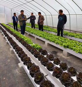 Tuyaux en <span class=keywords><strong>PVC</strong></span> 100*150/100*100mm NFT <span class=keywords><strong>Gouttière</strong></span> Hydroponie - Product Image 3