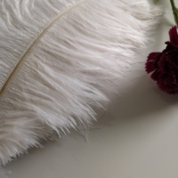 Großhandel Hot Sale Big Original Straußen feder Gelb Rosa Lila Weiß Straußen feder Für Home Party Deco