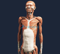 Système d'Anatomie Humaine Numérique pour l'Enseignement Scolaire et l'Autopsie, Interface Tactile, Table d'Anatomage Virtuel 3D du Corps Humain