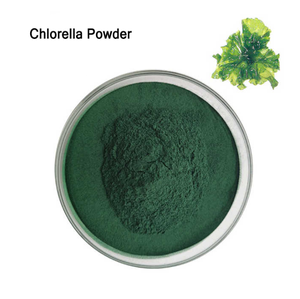 Polvo de Extracto Herbal de Chlorella, Ingrediente Principal, Envasado al Vacío, Cultivo Artificial - Product Image 1