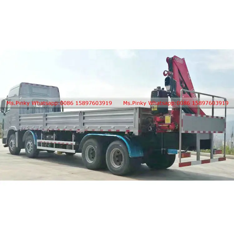 Caminhão com 12 rodas da coreia do sul, caminhão com carga da marca lorry caminhões do guindaste da carga com 12 toneladas