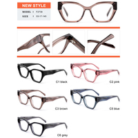 C- F2739 Nouvelle Arrivée Usine Unisexe Mode Logo Personnalisé Oeil de Chat Acétate Lunettes Cadres pour Tous Visage avec Charnière Insérer Temple