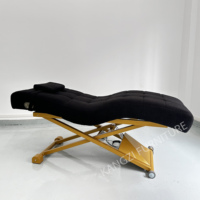 Table de massage électrique portable multifonctionnelle moderne avec dossier électrique en velours, cadre métallique et éponge haute densité pour les soins de beauté