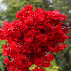 Fleurs artificielles <span class=keywords><strong>de</strong></span> haute qualité Branche <span class=keywords><strong>de</strong></span> cerisier en fleurs Décoration <span class=keywords><strong>de</strong></span> célébration <span class=keywords><strong>de</strong></span> mariage Fleurs <span class=keywords><strong>de</strong></span> cerisier roses - Product Image 5