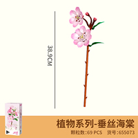 Ensembles de blocs de construction floraux, plante en pot avec boîte cadeau, ensembles de briques MOC, ensembles DIY pour enfants, jouets éducatifs 655069-655079