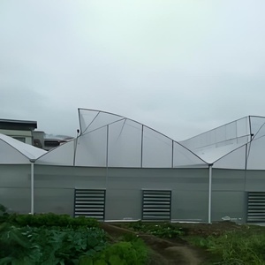 Hot Selling Large Multi-Span Landwirtschaft liches Gewächshaus Aluminium PE Kunststoff Tertilien Gewächshaus für Tomaten Obst Gemüse Pflanzen - Product Image 5