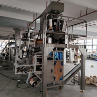 Machine d'emballage verticale à 10 têtes pour fraises congelées et fruits secs, avec pesage et scellage automatiques