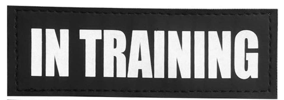 IN TRAINNING (Silver Letters)