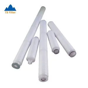 Penggantian sartore 2 Cartridge Filter 0.45 um + 0.2 um PES Filter membran untuk budaya penyaringan