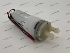 Customizable 3V~24V Small-Size DC Air Pump With Permanent Magnet Construction Chinese Supplier Various Appliances DC Motors