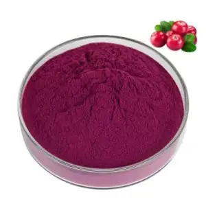 Chinese Supplier Organic Herbal Extract 25% anthocyanins Huckleberry Powder Bulk HuckleberryJuice Powder extract fre