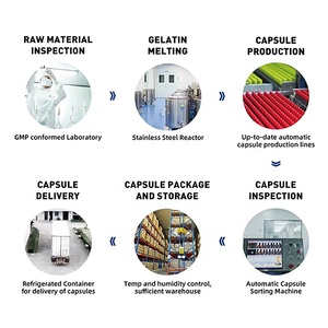 Wecaps Wholesale Empty <strong>Capsule</strong> Shell Transparent Empty <strong>Capsule</strong> No Color Size 00 Hollow Hpmc <strong>Capsules</strong> - Product Image 4