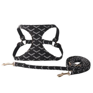 Großhandel Luxus verstellbare PU Leder Hunde geschirr und Leine Set Niet dekoriert Druck Designer Leine - Product Image 2