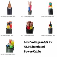 Cable Eléctrico de Alimentación VV-0.6/1kv 5X10 5*16mm2 VV22 VV32 de 2-4 Núcleos con Conductor de Cobre y Aislamiento de PVC