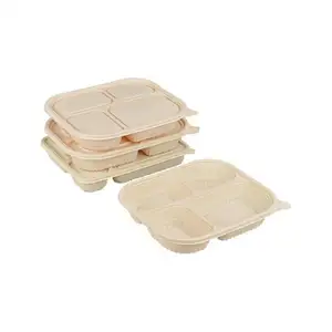 Wegwerp Voedselopbergdoos Eco-Vriendelijke Lege Hotdog Herbruikbare Draagdoos Recyclebare Soep Organisator Lieveheersbeestje Lunchbox