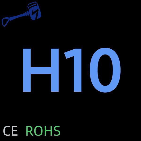 H10