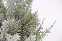 Tanaman Natal Artifisial Minimalis Grosir, Pohon Pinus Cedar Berumbai dalam Pot, Hiasan Meja Natal, Dekorasi Rumah Musim Dingin