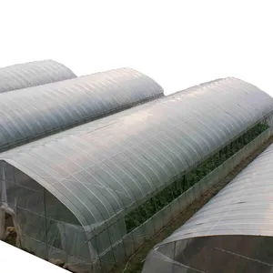 Film Agriculture Greenhouse Single Span Greenhouses Low Cost Plastic Agricultural Large Plant Grow System Drying Tube Large 275g