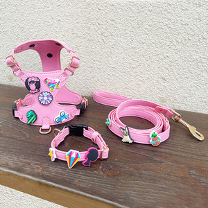 Arnés, Correa, Collar, Anillo para el Cuello y Diadema para Perro con Diseño de Dibujos Animados - Product Image 3