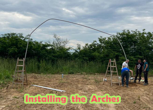 8x20m al aire libre China marco de metal agricultura túnel casa verde fresa invernaderos pasivos solares para la venta - Product Image 2