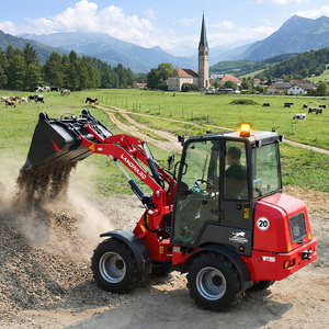 Chinese W1160 Mini Front End Ce Certified Hydraulic <b>Small</b> 2.5 Ton Farm Use Compact Sale Easy to Operate - Product Image 6