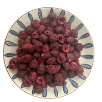 Ycoyco FD Gedroogde Hele Zure Kersen Fruit Snack Bulkverpakking 1kg Zonder Suiker Chinese Lage Vochtgehalte 12 Maanden Houdbaarheid
