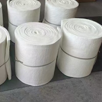 Couverture spéciale en fibre de céramique/couverture en fibre de céramique ignifuge pour l'isolation thermique des réservoirs industriels.