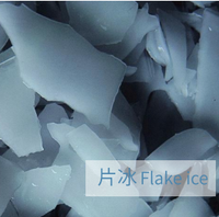 Machine à glace en flocon d'eau douce de 1 tonne Compresseur-Centric Ice Maker pour les fruits de mer congelés