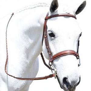 Brida de Cuero para Caballo de Estilo Polo, Ajustable, de Talla Completa, de Alta Calidad, Duradera, para Uso en Exteriores, Personalizable - Product Image 1