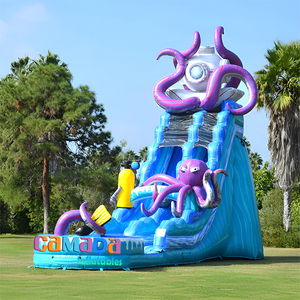 Toboggan aquatique gonflable commercial économique, grand modèle Poulpe, double piste <span class=keywords><strong>avec</strong></span> <span class=keywords><strong>piscine</strong></span>, pour adultes et enfants, pour le jeu estival - Product Image 3