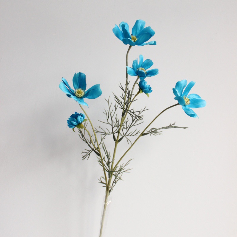 Bleu royal