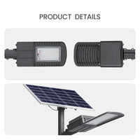 3 ans de garantie 30W aluminium extérieur IP65 couleur personnalisée longue durée de vie LED solaire jardin lumières pôle