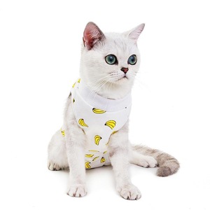 Gilet en coton à imprimé banane pour chats, vêtements pour animaux de compagnie, petite taille - Product Image 1
