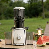 Extracteurs de jus électriques à mastication puissants de 500 W, à grande ouverture de 110 mm, personnalisés, pour fruits et légumes, presse à froid lente